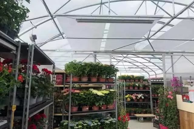 Légkamrás polikarbonát üvegház tető – jó fényáteresztés és hőszigetelés Opál üregkamrás polikarbonát lemez üvegház fedéshez